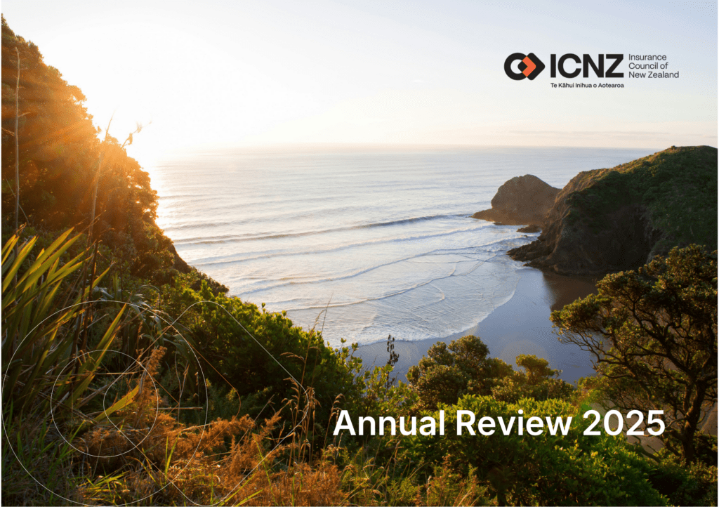 ICNZ Annual Review 2025